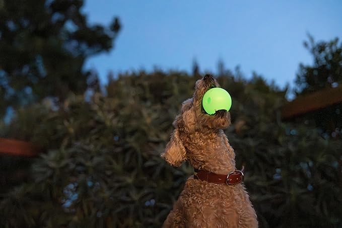 Harry Barker Glow Balls and Chew Stick, Rubber Bone for Dogs - 2.5" Glow Balls