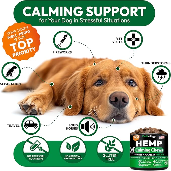 Hemp Calming Chews for Dogs - 170 Dog Calming Chews - Anxiety Relief Treats - Advanced Stress Relief, Separation Aid, Barking, Fireworks, Melatonin - Hip & Joint Supplement - Made in USA