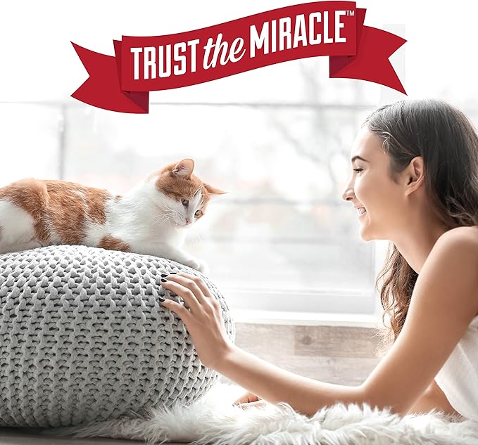 Nature's Miracle Just for Cats Oxy Stain and Odor Remover, 24 fl oz