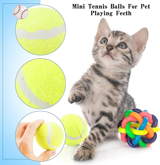 18 Pack 2.4 Inch Pet Mini Tennis Balls Dog Training Tennis Balls Bulk for Indoor and Outdoor Pet Playing Fecth Interactive Training Toys