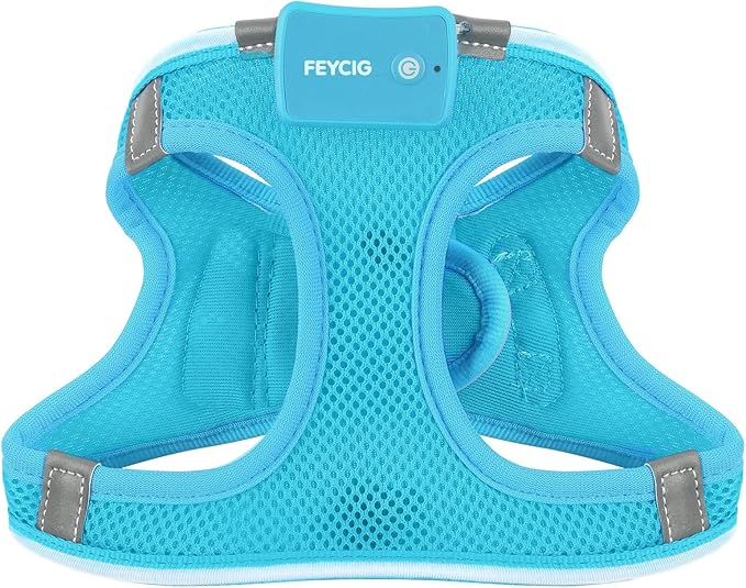 Light Up Dog Harness,Rechargeable LED Dog Harness for Small Medium Large Dogs,Reflective Lighted Safety Vest for Night Walking & Camping,Lightweight & Adjustable,Blue,S