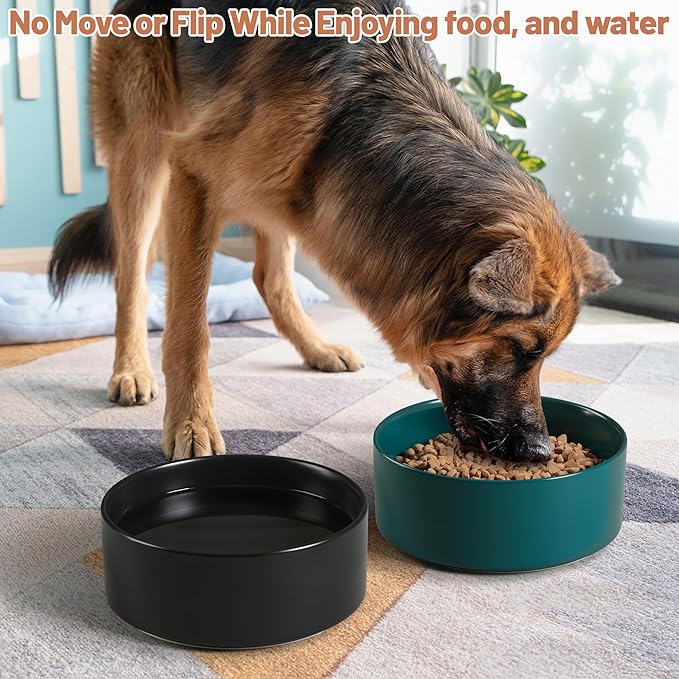 Large Dog Bowls, Non Slip Heavy Ceramic Dog Food and Water Bowl with White Silicone Base, 2 Pack Pet Feeding Bowls for Medium, Big and Giant Dogs (Black+Green, 8 Inches)