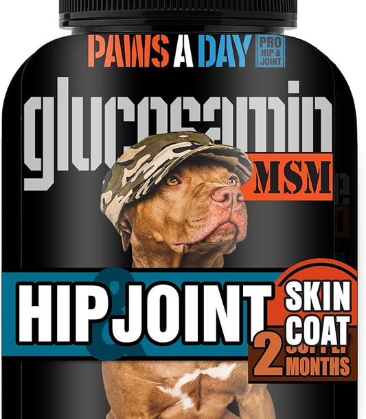 Glucosamine for Dogs Hip & Joint Supplement – “Two-in-One Combo” Dog Joint Care and Improved Skin & Coat with Chondroitin, MSM, Omega 3, Collagen & Biotin, 60 Chewable Tablets