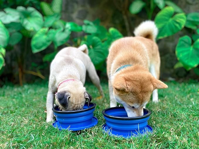 Tuff Pupper SuperBigSlurp Collapsible Dog Bowls, Extra Large Capacity, Portable, Food Safe, Odorless, Non-Toxic Silicone
