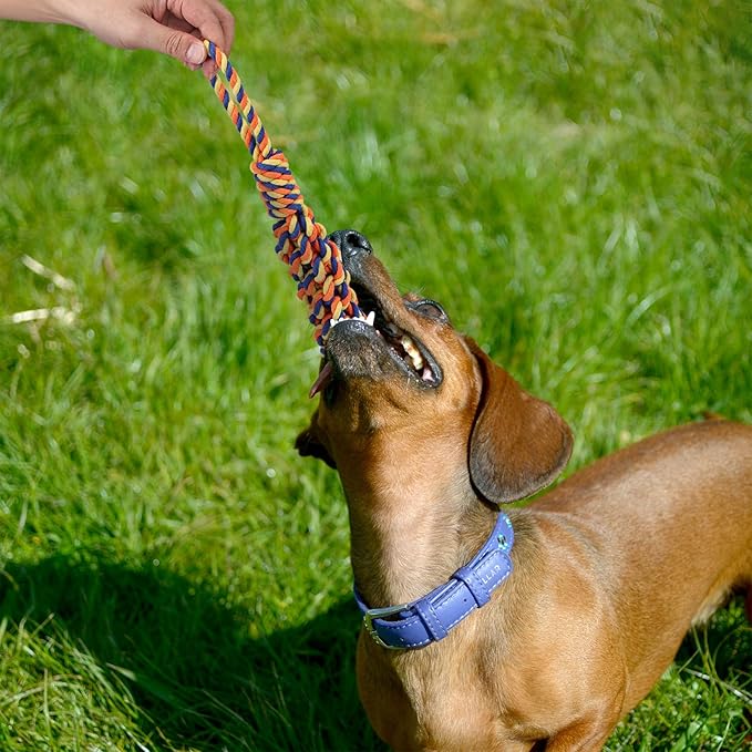 15pc Heavy Duty Dog Rope Toys Tough Tug of War Dog Toys, 100% Cotton Tug Toy for Boredom for Large/Medium/Small Dogs for Chewing, Playing, Teething, Teeth Cleaning, Tossing and Catching.