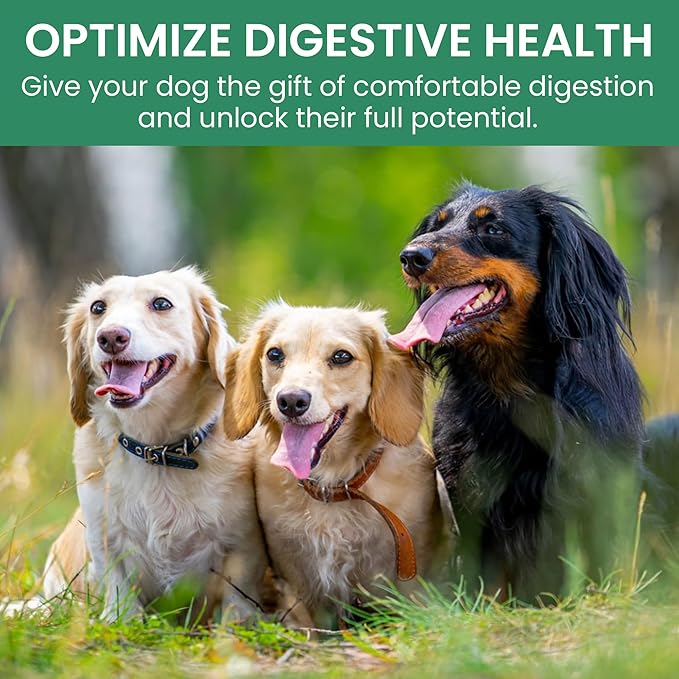 HOLISTIC BIN Canine Powderized Beef Bone Broth – Protein Powder for Endurance & Longevity – Nutritious Dog Enrichment for Energy & Wellness – Premium Beef Protein Supplement - 50 Grams