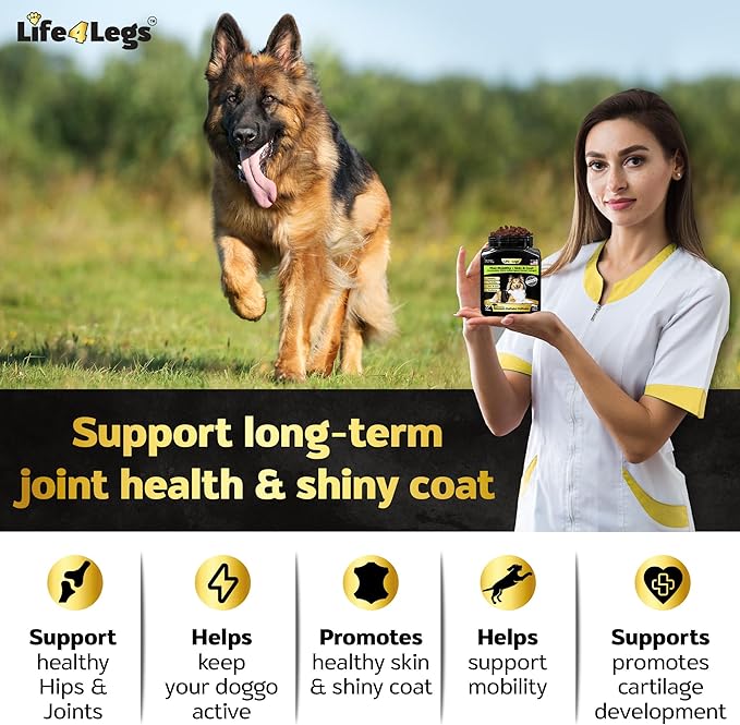 Soft Chews Hip and Joint Supplement for Dogs - Dog Joint Pain Relief Treats - Glucosamine, Chondroitin, Turmeric- Mobility Supplement (Hip & Joint + Skin & Coat, Bacon - 30 Soft Chews)