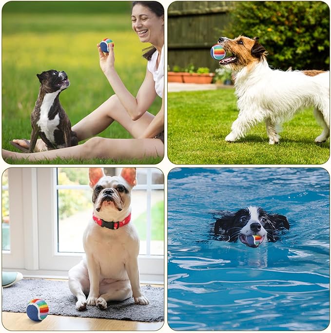 Nobleza Squeaky Tennis Balls for Dogs, 12 Pack 2.5" Floatable Dog Tennis for Small Medium Pet, Training Safe Natural Rubber Dog Toys Balls for Dogs to Fetch Exercise, Rainbow
