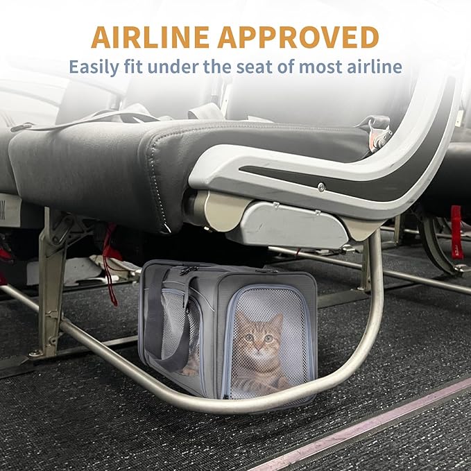 Petsfit Airline Approved Pet Carrier for Small Cats, 16.5x8.6x11 TSA Approved Carrier, with Removable Dual-Sided Padding (2-Way Placement) - Fits Under Most Airplane Seats, Escape Proof (Gray)