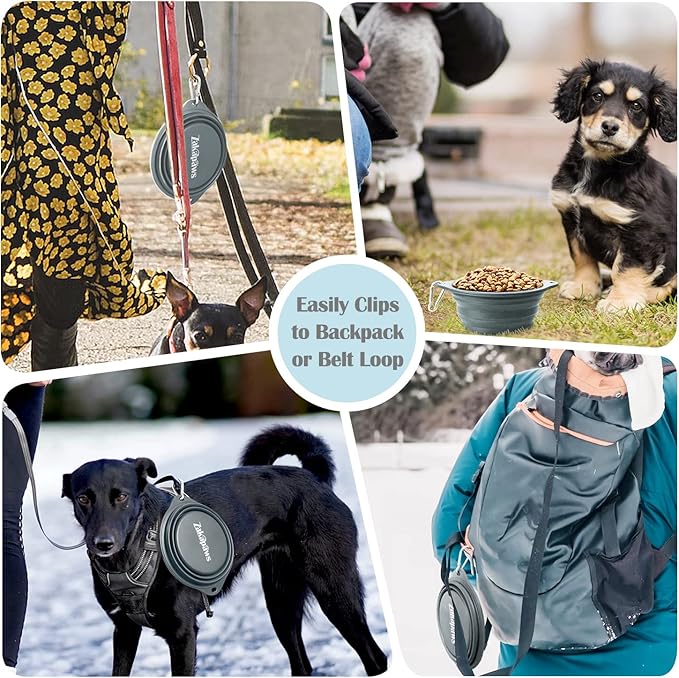 Silicone Dog Travel Bowl, 2 Pack Collapsible Pet Bowl, Foldable No Plastic Rim Pet Feeding Bowls, Water Cup for Pet Hiking,Camping