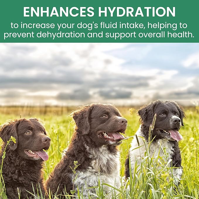 HOLISTIC BIN Canine Gut Biome Powder – Prebiotics & Probiotics for Dogs with Enzymes – Dog Vitamins & Multivitamin for Gut Health – Enzyme Powder Supplement – for Digestive Support - 50 Grams