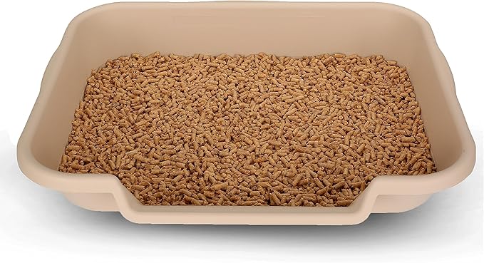 KittyGoHere Senior Cat Litter Box 1 Pack, Large Beach Sand Low Entrance Kitty Litter Box, Sized for Cats Comfort, Perfect for Senior and Arthritic Cats, Made in USA