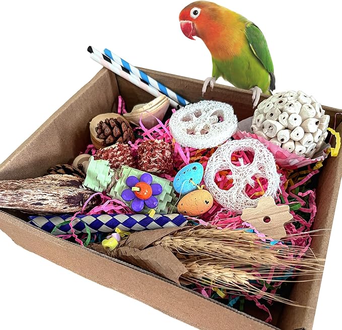 Large Bird Foraging Toy - Natural Shreddable Chew Toys Box for Conures, Cockatiels, Lovebirds & Budgies | Enrichment Activity with Colorful Textures (for Small-Medium Birds)