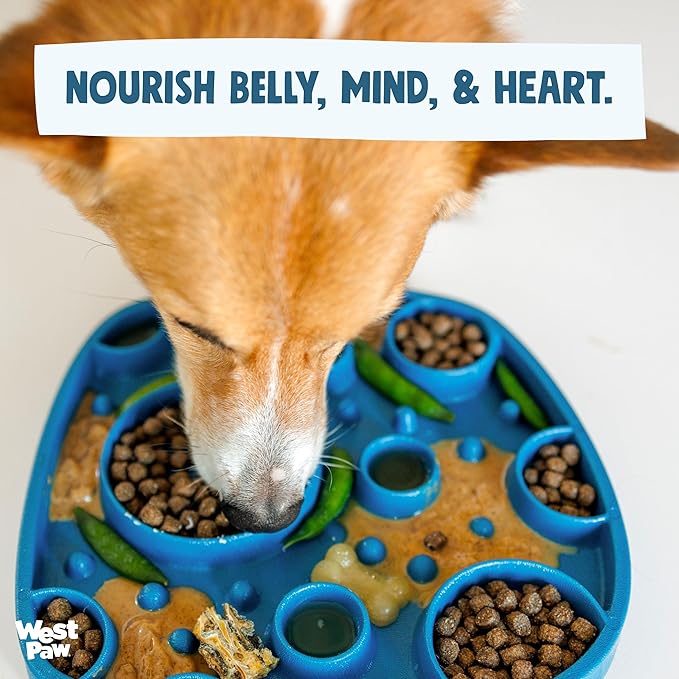 West Paw Seaflex Bubbles Feast Mat – All-in-One, Slow Feeder, Lick Mat – Encourages Foraging & Food Exploration - Engages Picky Eaters & Slow Feeding - Versatile – Easy to Clean, Non-Toxic - Mint