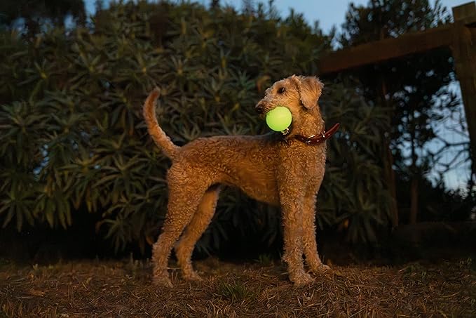 Harry Barker Glow Balls and Chew Stick, Rubber Bone for Dogs - 2.5" Glow Balls