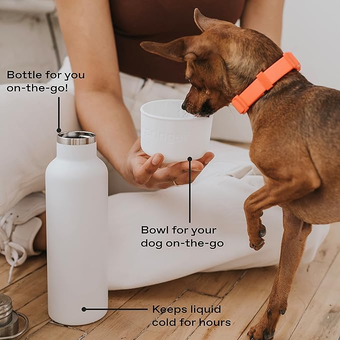 Springer Dog and Me 24oz Stainless Steel Insulated Water Bottle - Cold for 12+ Hours – Portable Dog Water Bottle with Integrated Travel Water Bowl for Dogs, Portable Dog Water Bottle – Lilac/Green