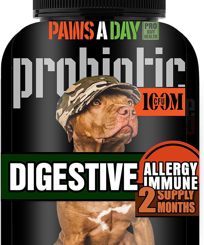 Army Soldier Owned Dog Probiotics for Yeast, Itchy Skin & Itchy Ears, Dog Allergy Relief, Digestive Health, Occasional Diarrhea & Immune Support, 60 Yummy Chewables
