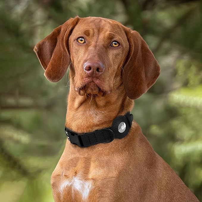 AirTag Dog Collar with Metal Buckle - Soft Leather Printed Nylon Dog Collar with Apple AirTag Holder - Cute Tracking GPS Pet Collars for Girl Boy Small Large Dogs (L, 17"-21" Neck Fit, Space)