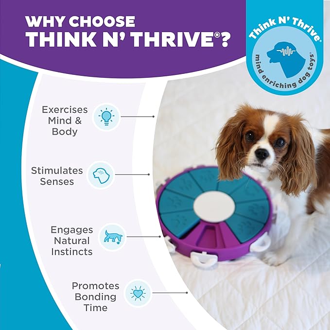 Outward Hound by Nina Ottosson Dog Twister Treat Puzzle Enrichment Toy, Level 3 Advanced, Purple