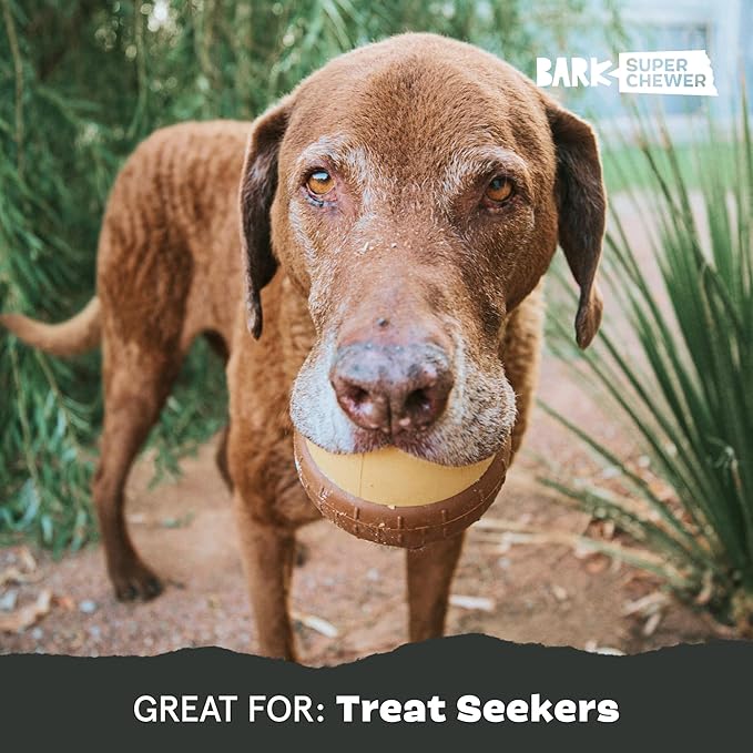 Barkbox Acornucopia Treat Dispensing Indoor/Outdoor Chewer Toy, Large