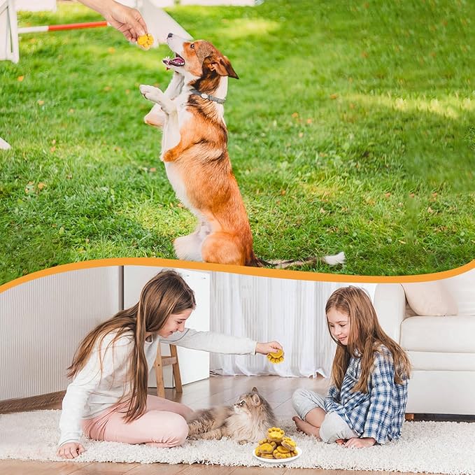 Freeze Dried Cat & Dog Treats with Pumpkin - Natural Chicken, Salmon, Beef Liver & Fish Oil for Digestion Gut Health (14 pcs)