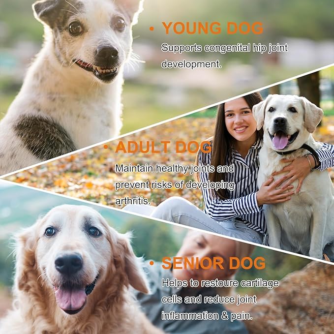 Hip and Joint Supplement for Dogs,Hip & Joint Pain Relief Pills - Large & Small Breed - Hip Joint Chews Canine Joint Health,Mobility & Flexibility Support -Duck Flavor 60 Count