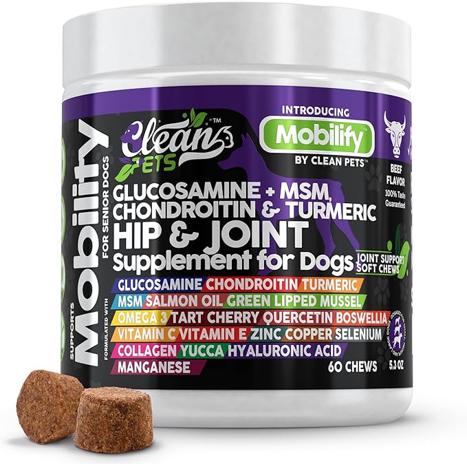 Hip and Joint Supplement Dogs with Glucosamine for Dogs + Chondroitin, Turmeric, Hyaluronic Acid, MSM, Salmon Oil, Collagen, Vitamin C, Omega 3 Senior Dog Supplements Beef Flavor - 1Pack