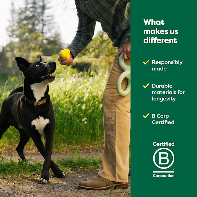 Earth Rated Dog Ball, Interactive Fetch Toy for All Breeds, Comes in Multiple Sizes, Made with Natural Rubber, Perfect for Indoor and Outdoor Use, Large, Yellow