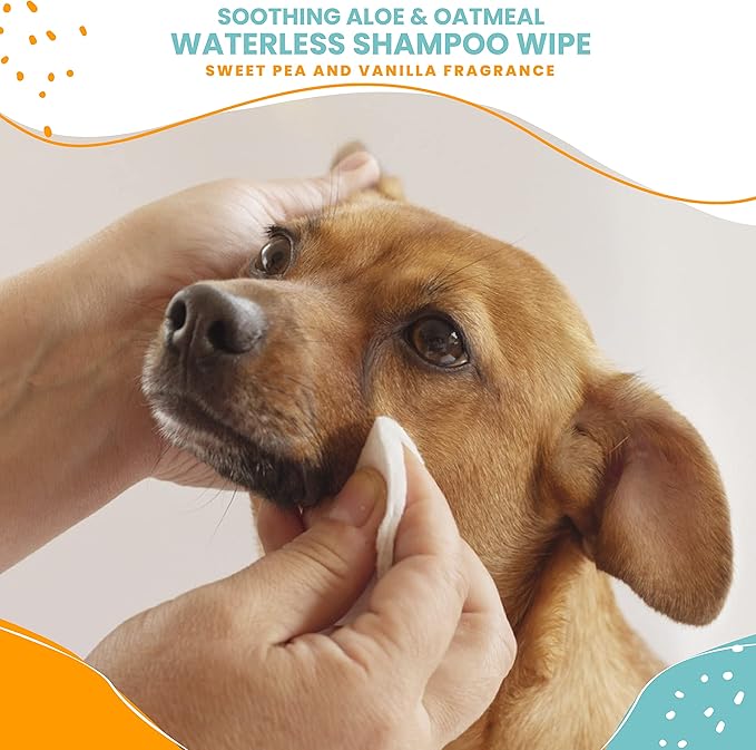 Nootie Waterless Shampoo Wipes for Dogs & Cats - Value Pack, 210 Count - Long Lasting Sweet Pea Vanilla Fragrance - Sold in Over 10,000 Vet Clinics and Pet Stores Worldwide, Made in USA
