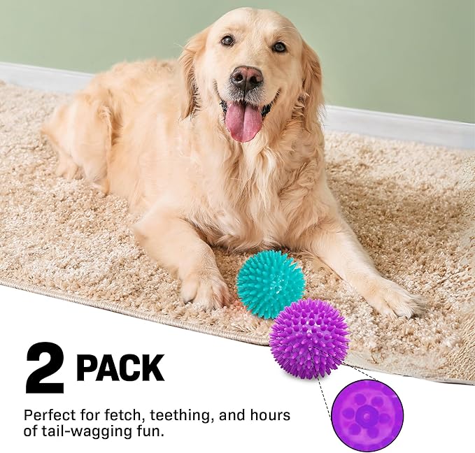 Spiky Dog Ball 3 Inch Squeaky Toy for Small - Medium Dogs Aggressive Chewers Puppy Teething Toys Dog Spike Ball for Training and Teeth Cleaning - 2 Pack