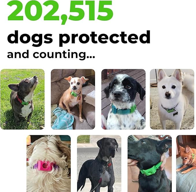 FurLife Green Dog Tag, Flea and Tick Prevention for Dogs - Waterproof Pendant for Collar, Safe for All Breeds