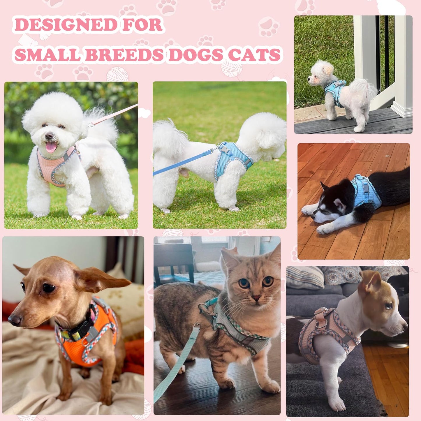 Dog Harness and Leash Set, No Pull Adjustable Reflective Pet Harness for Small Medium Dogs, Easy Walk Step in Vest Harness Outdoor Hiking Training for Extra Small Dogs, Puppy, Cats(Purple,XXS)