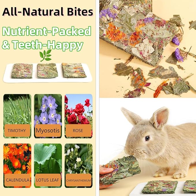 Rabbit Toys 20pcs 2 IN 1 Bunny Crisp Treat Guinea Pig Chew Snack for Cleaning Teeth Enrichment Timothy Hay Chips Hamsters Molar Food For Chinchilla Gerbil Rat Indoor Dental Care Boredom (8+12)
