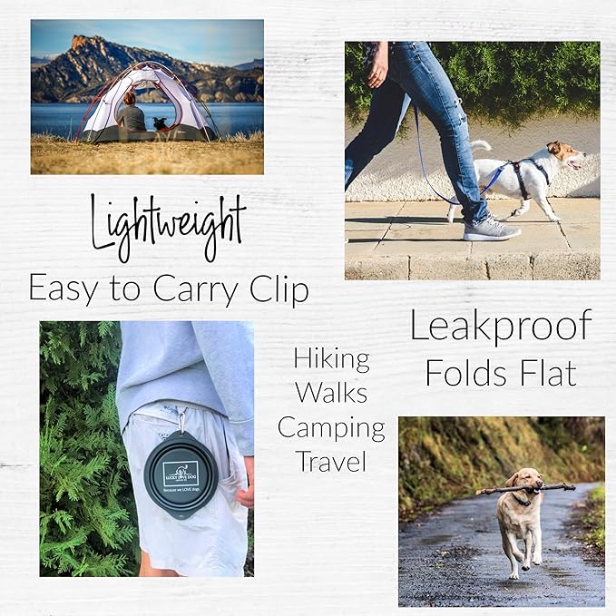 Lucky Love Dog, Collapsible Dog Bowl Compact Travel Water Dog Dish, Steel