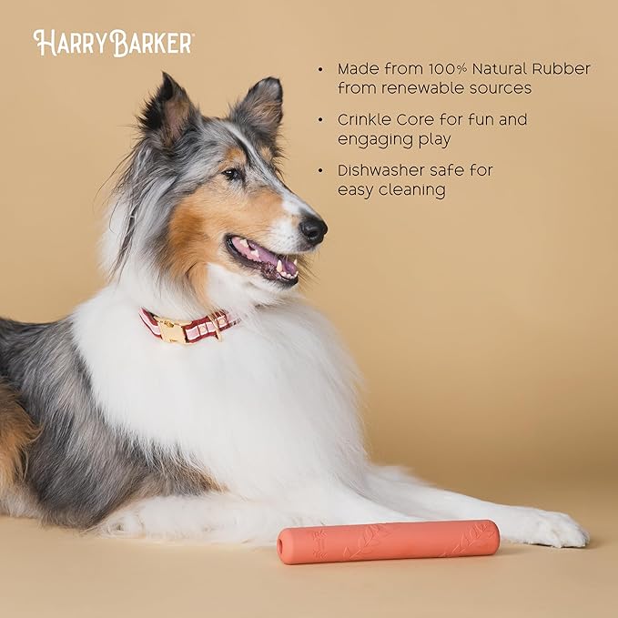 Harry Barker Rubber Balls and Rubber Chew Stick for Dogs