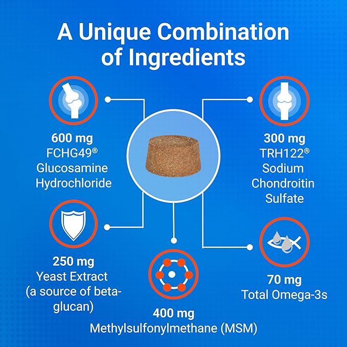 Nutramax Cosequin for Senior Dogs Joint Health Supplement, Contains Glucosamine, Chondroitin, MSM, Omega-3s and Beta-Glucan, Supports Joint, Skin and Coat, Immune Health, Soft Chews, 120 Count