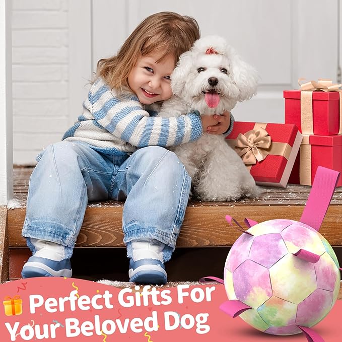 QDAN Premium Dog Toys Soccer Ball with Straps, Puppy Balls for Small Medium Dogs, Dog Water Toys Pool Toys, Puppy Dogs Pet Birthday Gifts, Rainbow(6 Inch)