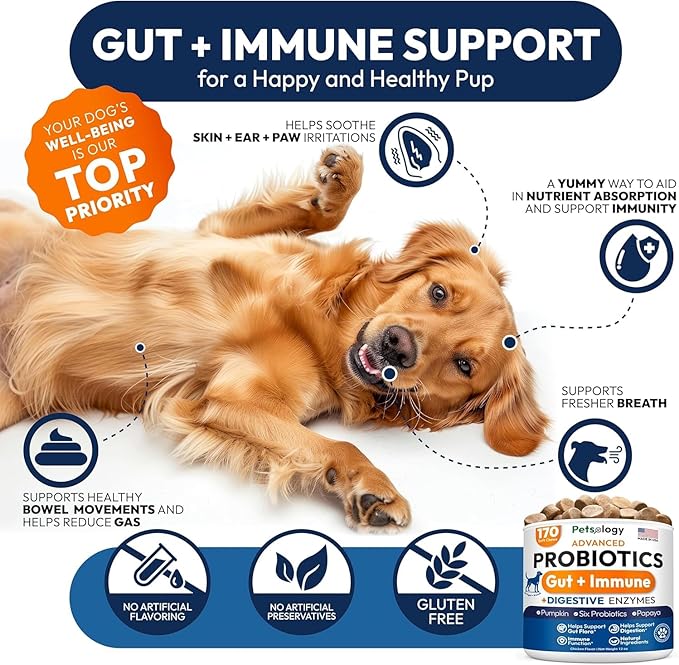 (2 Pack) Probiotics for Dogs - 340 Dog Probiotics Chews - Digestive Enzymes & Prebiotics - Support Gut Health, Diarrhea, Gas & Constipation Relief - Itchy Skin, Allergies - Advanced Supplement