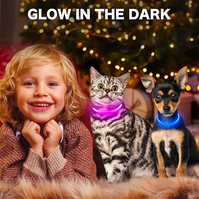 BSEEN Light Up Dog Collar, High Visibility LED Dog Collar Rechargeable- Rainproof TPU Cuttable Glowing Pet Collar for Small Dogs & Cats - Puppy Safety Lights for Night Walking (XS- Blue 40cm)
