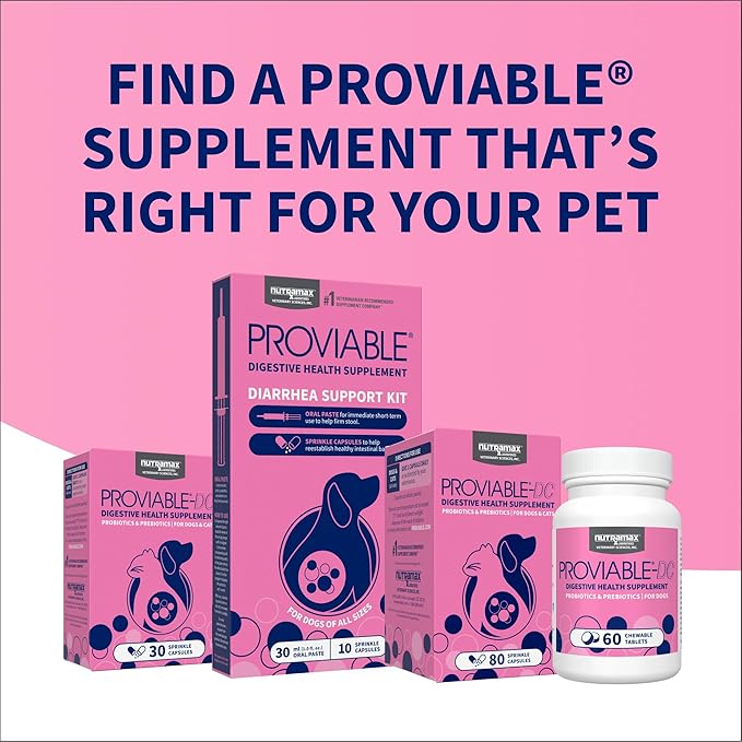 Nutramax Proviable Probiotics for Dogs and Cats, Daily Digestive Health Supplement with Multiple Strains of Bacteria, Cat and Dog Probiotics Plus Prebiotics, 80 Capsules