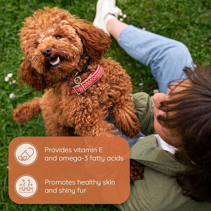 Wildfang® Olive Wood Chewing Sticks for Dogs, Large - Tough Chew Toys for Aggressive Chewers, Puppy Chew Toys for Teething, Training for Chewing Muscles, Olive Wood Stick for Dog (Under 33lbs), 3pack