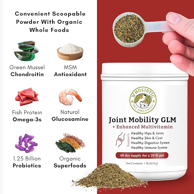 Wholistic Pet Organics Joint Mobility GLM - 1 Lb - Glucosamine for Dogs Chondroitin Supplement Green Lipped Mussels - Joint Supplement for Dogs - Arthritis Pain Reliever for Large & Small Breeds
