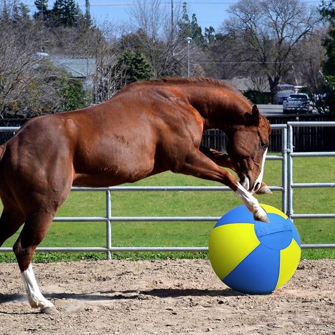 Herding Ball for Dogs and Horses - 25" Jolly Ball for Dogs, Agility Training Equipment, Herding for Australian/German Shepherd, Improved Bite-Resistant, Reinforced Sewing Dog Toys - Blue&Yellow (New)