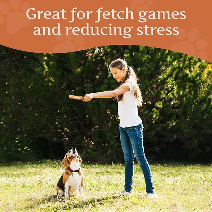 Wildfang® Olive Wood Chewing Sticks for Dogs, Large - Tough Chew Toys for Aggressive Chewers, Puppy Chew Toys for Teething, Training for Chewing Muscles, Olive Wood Stick for Dog (Under 33lbs), 3pack