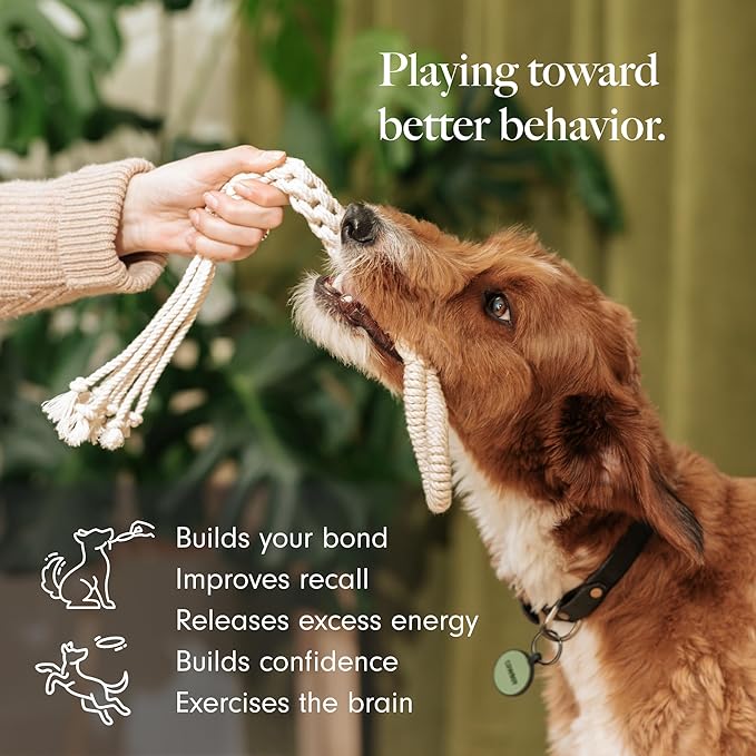 LAY LO Natural Cotton Dog Rope Toys | 18 inch 2-Pack | for Medium and Large Dogs | Includes Live Dog Trainer Support | Durable & Eco-Friendly | Unique Boho Designs with Handle | Puppy Teething Toy