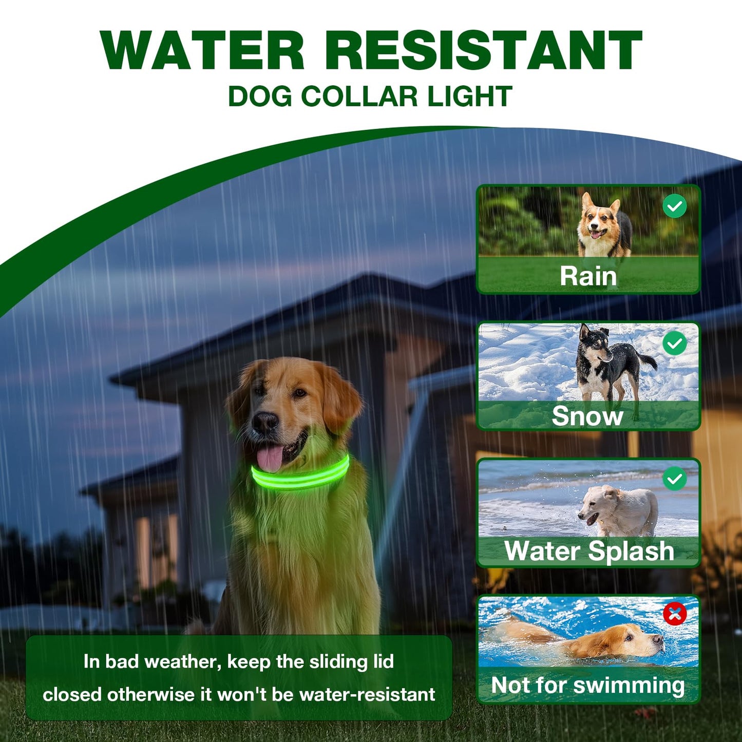 LED Dog Collar, Light Up Dog Collar, Lighted Dog Collars Adjustable for Night Walking, Glow in The Dark Dog Collars Light with USB Rechargeable Color Changing Waterproof for Dogs (Green, Small)