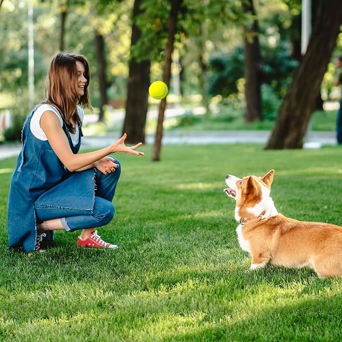Prime Pets Tennis Balls for Dogs, 2.5 Inch Thick Bouncy Dog Ball, Interactive Dog Toys for Indoor Outdoor, Fetch Balls for Medium, Large Dogs