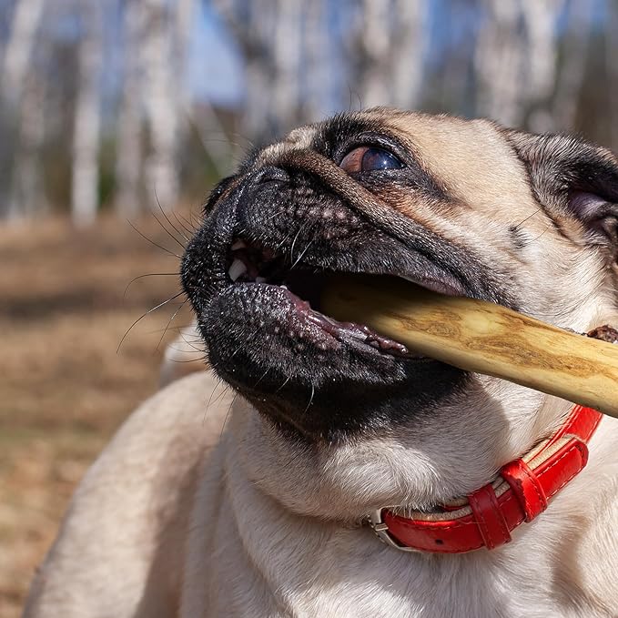 Wildfang® Coffee Wood Dog Chew, Small - Tough Chew Toys for Aggressive Chewers, Dog Teething Toys for Puppies, Training for Chewing Muscles, Coffee Tree Sticks for Small Dogs (22-33 lbs), Pack of 3