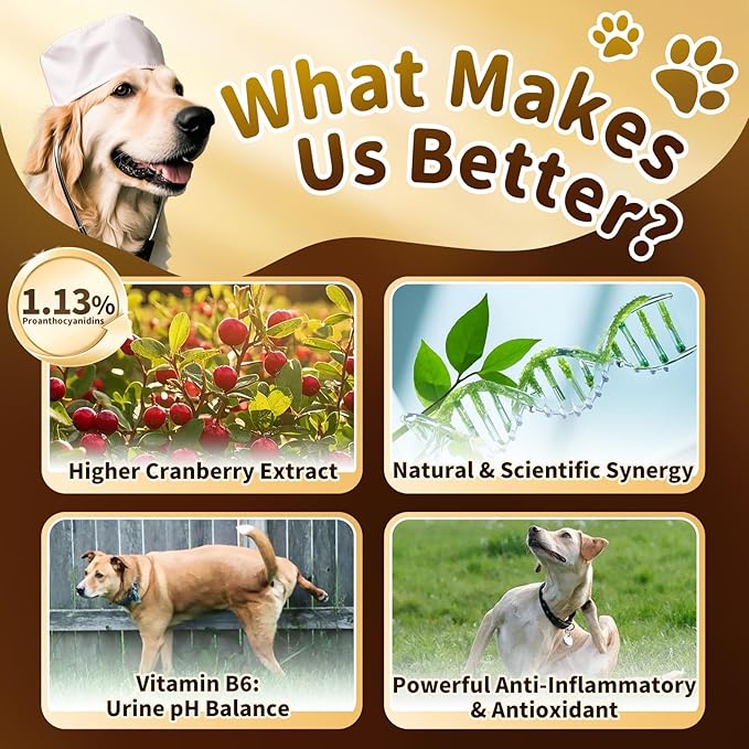 (2 Pack) Poppaw Dog UTI Treatment & Urinary Tract Support, High Cranberry Extract, 9-in-1 Natural Herbal, Vitamin B6 for Urine pH Balance, Bladder & Kidney Function, Bacon Flavor, 2 OZ