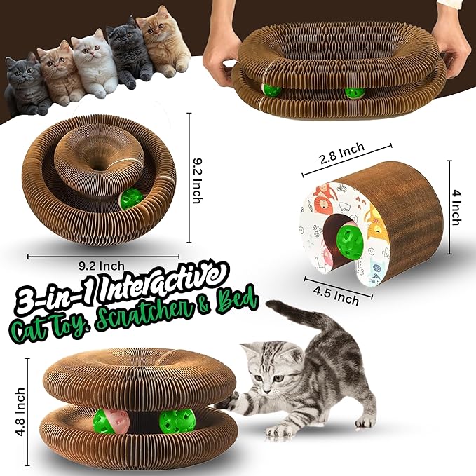 Greenwich Kitty Kurlz Reversible Infinity Cat Toy – Durable Magic Organ Made from Recycled Corrugated Cardboard | Eco-Friendly, Long-Lasting Scratcher & Cat Treat Puzzle Play Toy for Cats (Pack of 3)